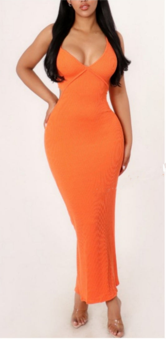 Dreamsicle Fitted Dress