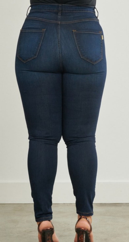 Indigo Beauty Plus Size Skinny Jeans